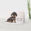 Search for dachshund cards Dachsund