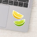 Search for lime slice stickers Food