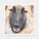 Search for german shepherd napkins Alsatian