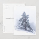 Search for snowing postcards Frost