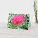 Recherche de rosas vœux cartes Espagnol