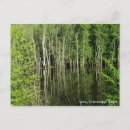 Search for iowa postcards Water