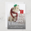 Search for people christmas cards Canine