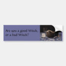 Search for porcupine bumper stickers Hedgehog