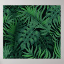 Search for exotic plants posters Pattern
