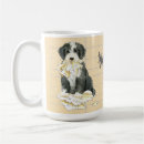 Recherche de colleys barbus tasses Chiot