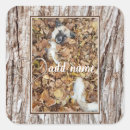 Search for funny scrapbook stickers Modern