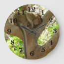 Search for monkey clocks Ape