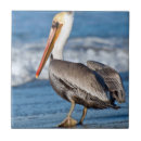 Search for pelican tiles Beach