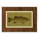 Recherche de poissons de lac cartes postales Nage