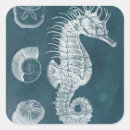 Recherche de i stickers Vie marine