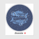 Search for starry sky stickers Constellation