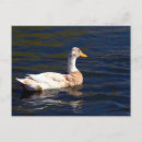 Recherche de pied cartes postales Brun