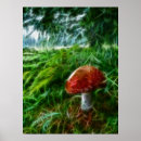 Recherche de champignon rouge posters Forêt