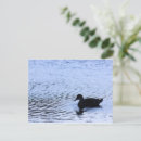 Search for water ripples postcards Nature