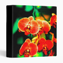 Search for orchids binders Flora