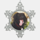 Recherche de chiens ornements Nom