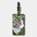 Recherche de familier bagages étiquettes Voyage