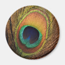 Search for bird pattern magnets Colourful