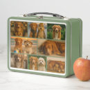 Search for unique lunch boxes Create your own