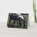 Recherche de cheval de pur sang vœux cartes Pour tous
