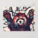 Recherche de panda rouge cartes postales Animaux