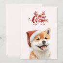 Recherche de inus shiba vœux cartes Chien