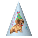 Recherche de teckel chapeaux Doxie