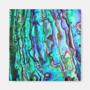 Search for shell pictures magnets Square