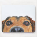 Search for eye closed mousepads Pet