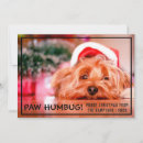 Search for humbug christmas cards Dog