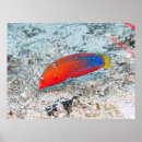 Search for transit posters Photography