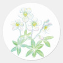 Recherche de le niger autocollants Fleur