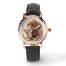 Recherche de chaton montres Amoureux des animaux