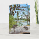 Search for wombat cards Australian