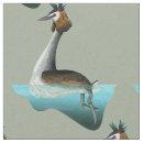 Search for grebe New zealand