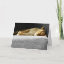 Recherche de rêverie photographie Sommeil
