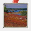 Search for east coast ornaments Nature