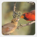 Search for mate stickers Bird