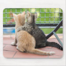 Search for getty mousepads Photography