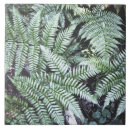 Search for fern tiles Foliage