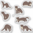 Search for mink stickers Pet