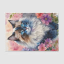 Search for paper doll cats Pet