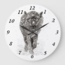 Search for wolf clocks Wildlife