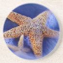 Search for hilton head island coasters Usa