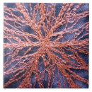 Search for burnt orange tiles Elegant