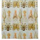 Search for tentacles shower curtains Ocean