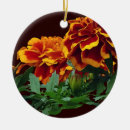 Search for marigold ornaments Floral