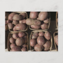 Recherche de pomme cartes postales Usa