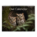 Search for bird calendars Owls